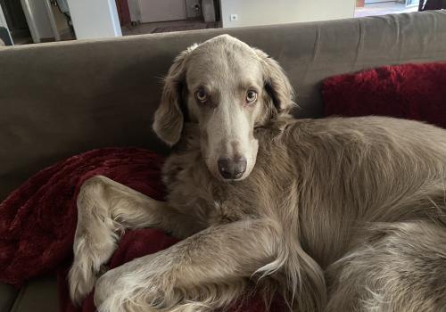 Photo animal de Florence J.