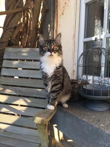 Photo animal de Sophie G.