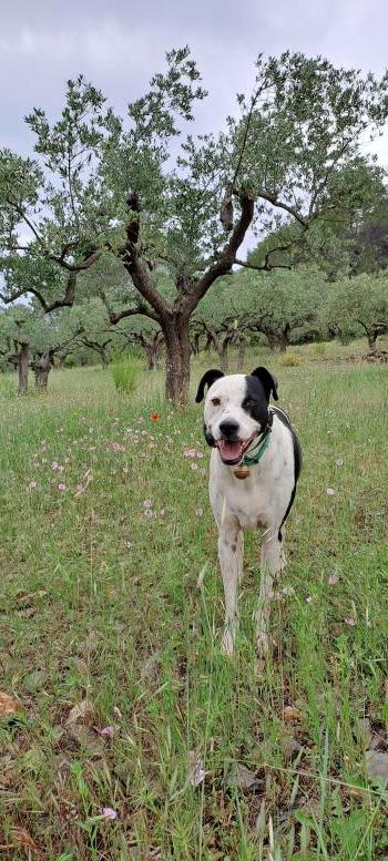 Photo animal de Edith R.