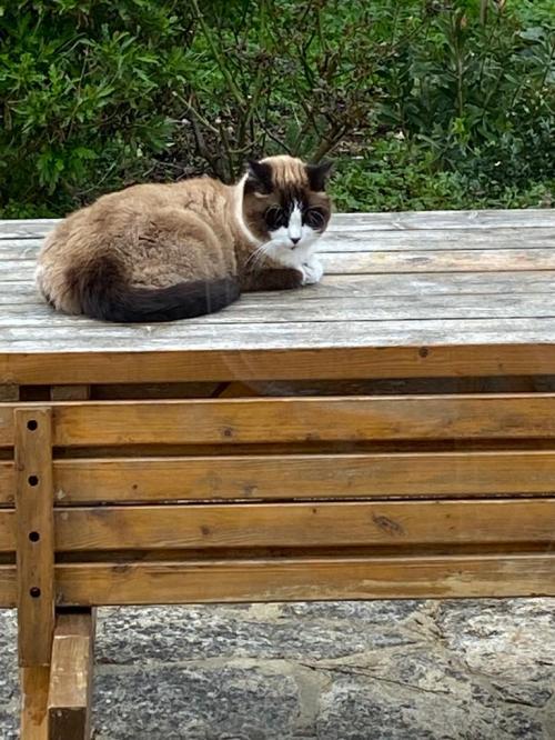 Photo animal de Fran&ccedil;oise R.