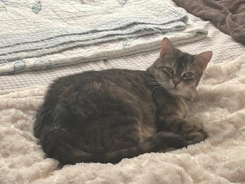 Photo animal de Sophie P.