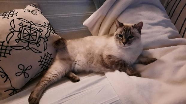 Photo animal de Marie-claire L.