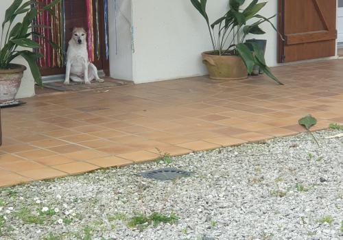 Photo animal de Adeline R.