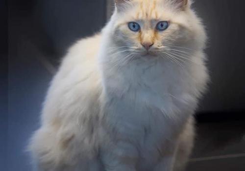Photo animal de Chantal C.