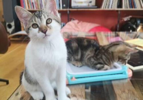 Photo animal de Cl&eacute;mentine L.