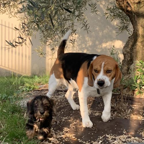 Photo animal de Caroline C.