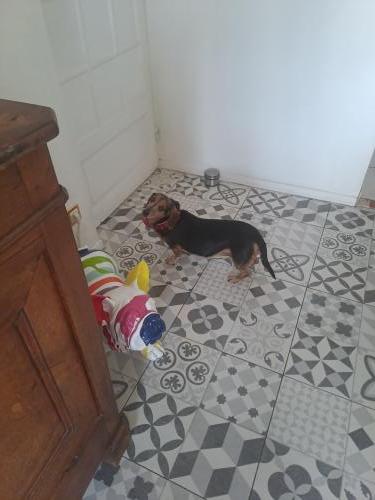 Photo animal de Michel c.