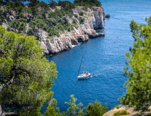 Garde d’animaux en Provence-Alpes-Côte d’Azur (PACA)