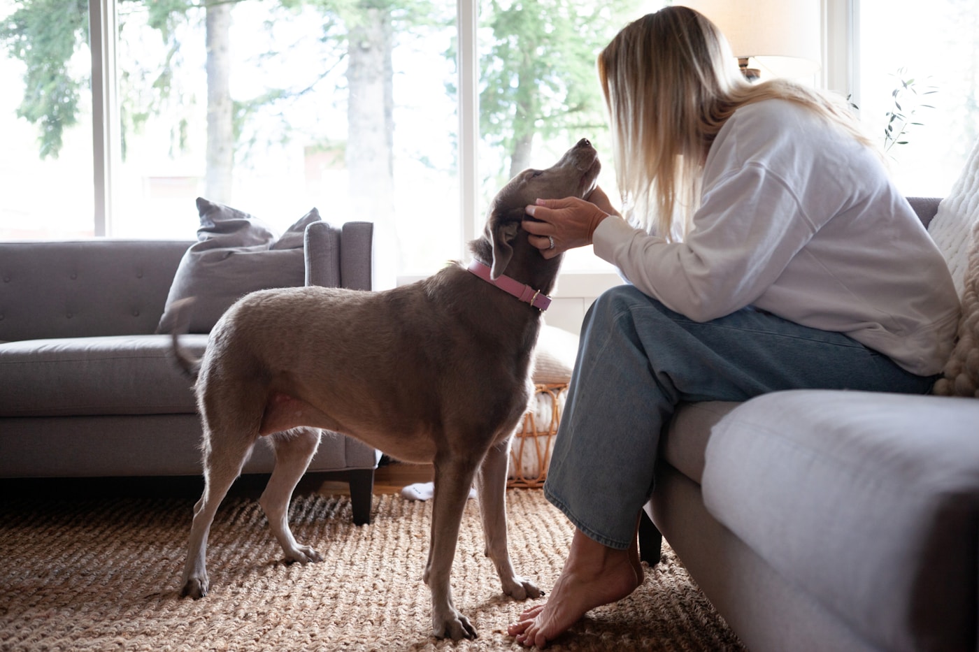 Une personne caresse un chien dans un salon pendant une garde à domicile