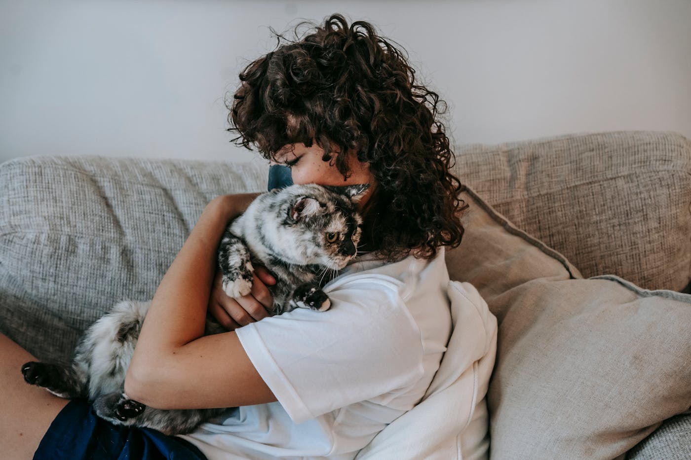 Moment de tendresse avec un chat à domicile pendant une garde d’animaux