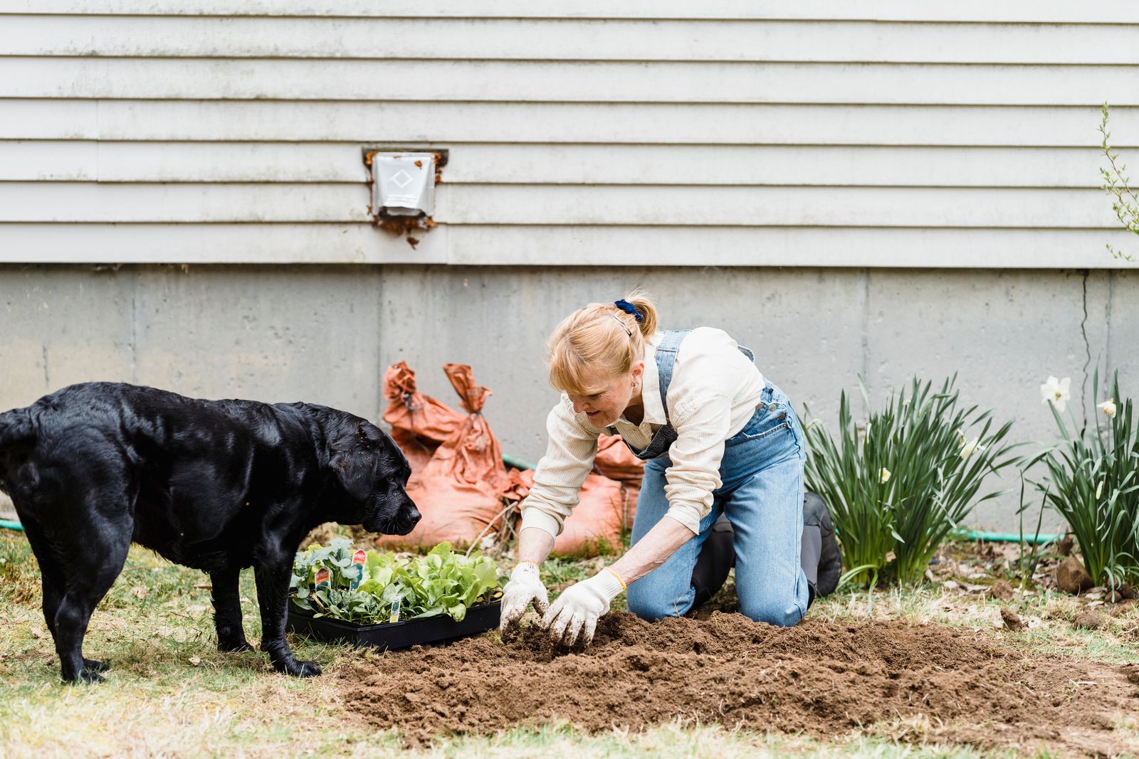 Personne dans le jardin avec un chien pour illustrer une maison gardée en homesitting