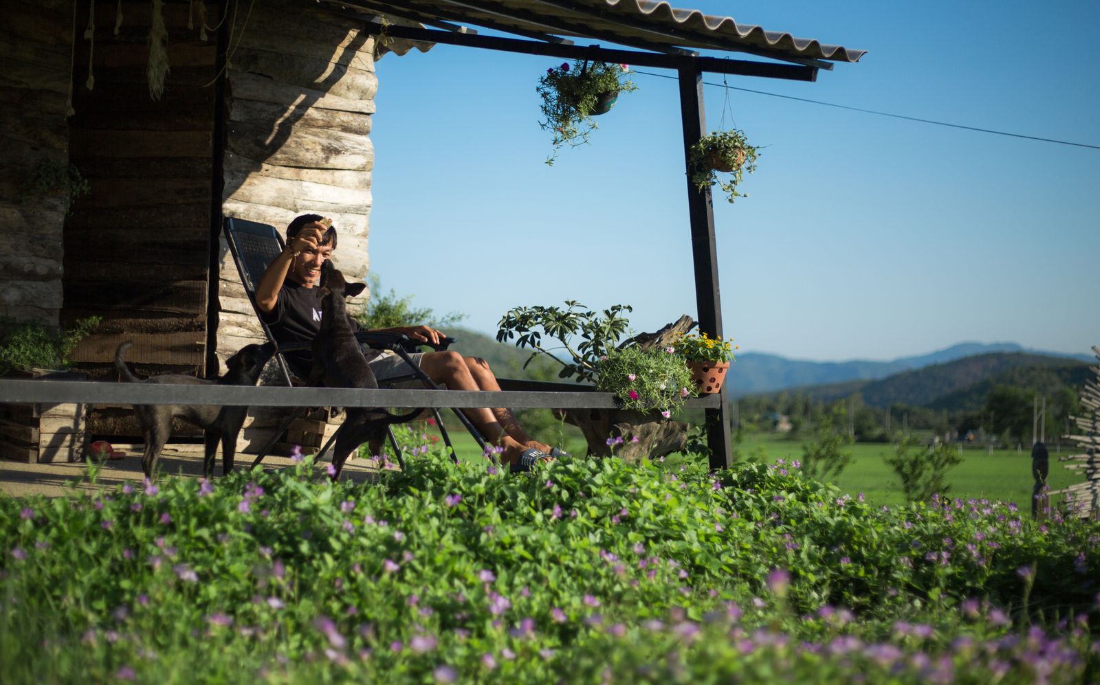 Home sitter avec des chiens sur la terrasse d’une maison pendant les vacances